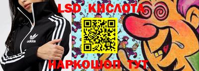 ПСИЛОЦИБИНОВЫЕ ГРИБЫ Усть-Джегута